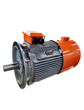 CB series permanent magnet synchronous motor
